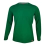 Kép 1/2 - Dressa Premium hosszú ujjú környakú férfi pamut póló-kelly zöld (S-4XL)